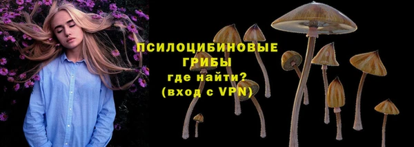 амф Михайловка