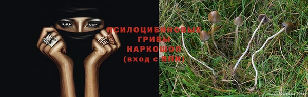 a pvp Надым
